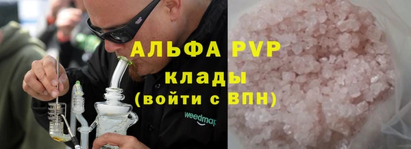 ГАЛЛЮЦИНОГЕННЫЕ ГРИБЫ Белокуриха