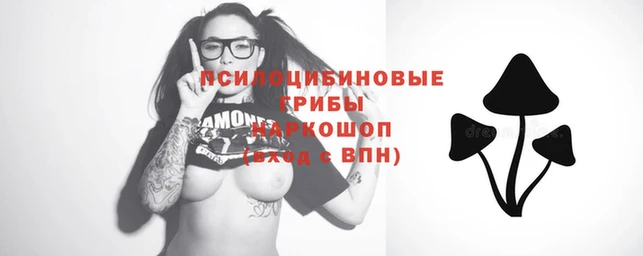 ГАЛЛЮЦИНОГЕННЫЕ ГРИБЫ Белокуриха