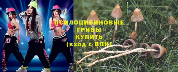 ГАЛЛЮЦИНОГЕННЫЕ ГРИБЫ Белоозёрский
