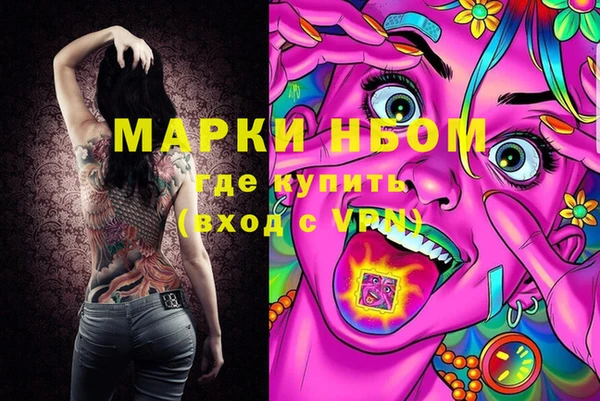 ГАЛЛЮЦИНОГЕННЫЕ ГРИБЫ Белокуриха