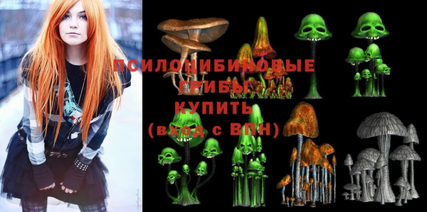 spice Беломорск