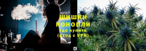 ГАЛЛЮЦИНОГЕННЫЕ ГРИБЫ Белоозёрский