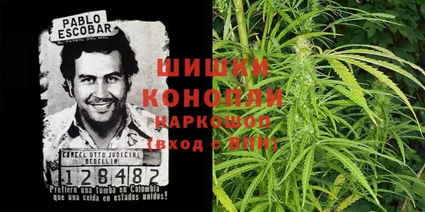 ГАЛЛЮЦИНОГЕННЫЕ ГРИБЫ Белокуриха