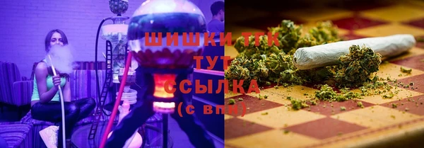 ГАЛЛЮЦИНОГЕННЫЕ ГРИБЫ Белоозёрский