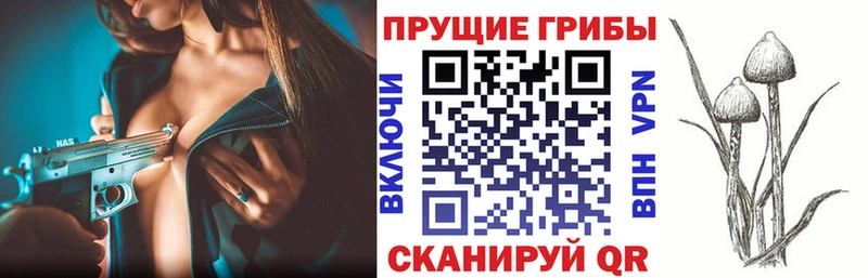 Псилоцибиновые грибы MAGIC MUSHROOMS  Волоколамск 